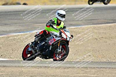 media/Sep-01-2024-Lets Ride (Sun) [[fd7c166674]]/C Group/Close Ups/